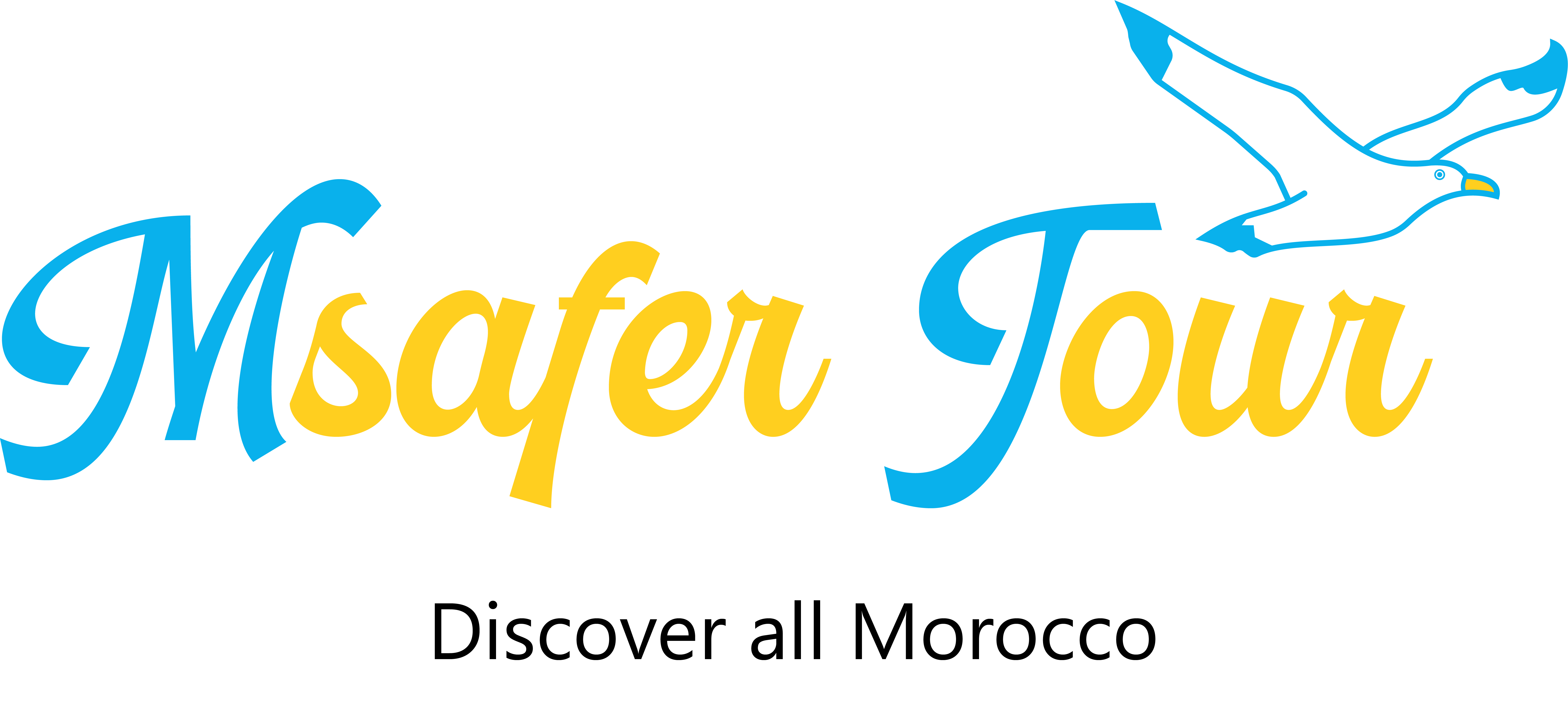 msafertour.com