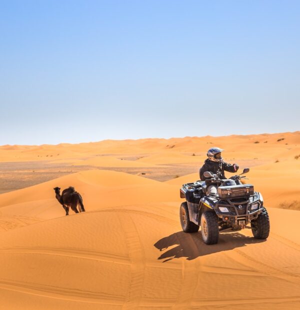 Discovery Sahara