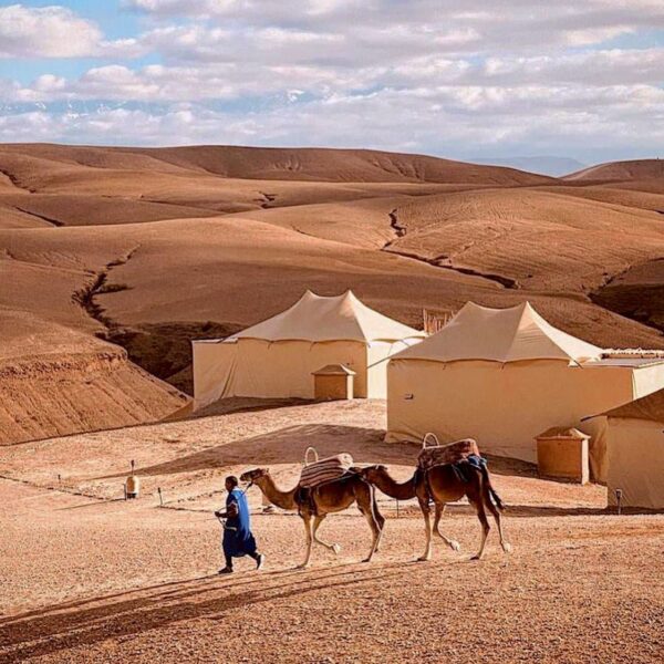 Dinner in Agafay - An Evening Desert Escape