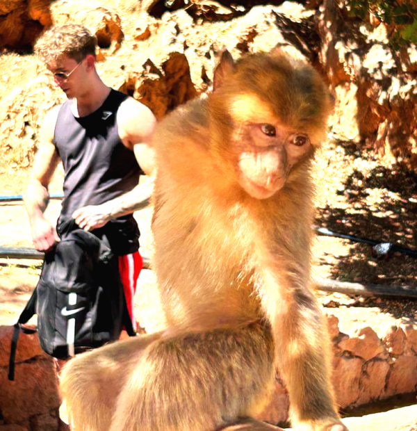 Discovery Ourika valley